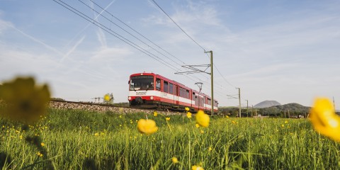 Entlang der Bahnstrecke der Bahnstrecke der Salzburger Lokalbahn (Linie S1) zwischen Salzburg Stadt und Lamprechtshausen im Frühling am 14.04.2024 // Along the railway line of the Salzburg Local Railway (line S1) between Salzburg city and Lamprechtshausen in spring on April 14, 2024 //