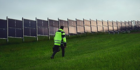 Ein Salzburg AG Mitarbeiter der durch die PV-Panele des Sonnen.Park Eugendorf geht.